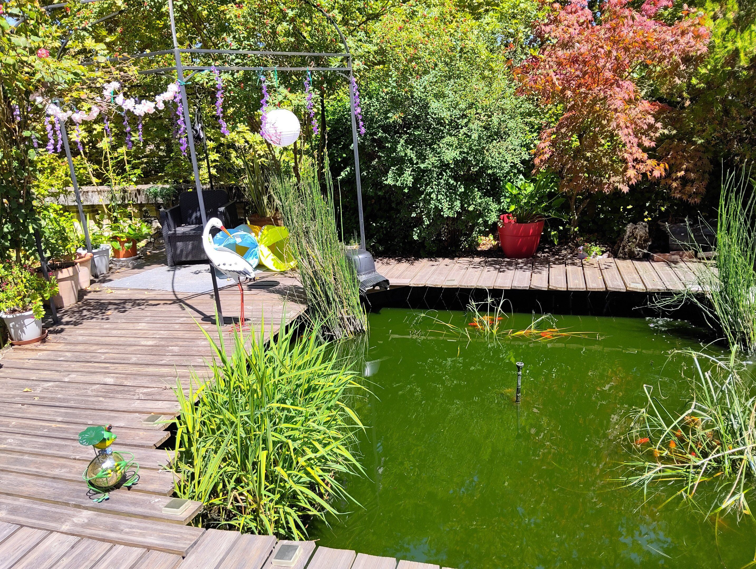 Jardines del alojamiento