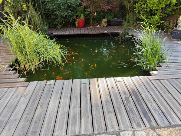 Ein Holzdeck mit einem Teich, umgeben von Pflanzen und einer kleinen Statue.