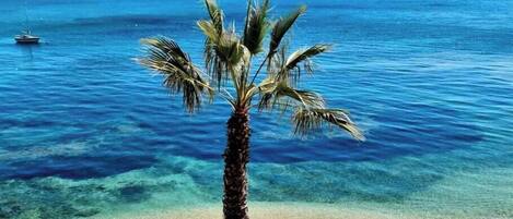 Playa