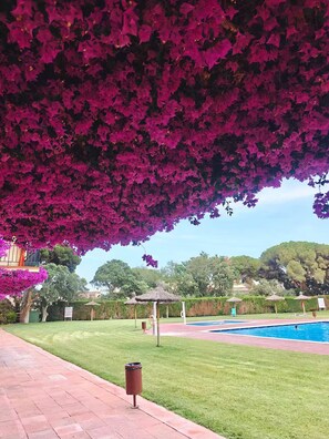 Outdoor pool - Calella de Palafrugell Sea View Apt | Pool • Terrace - Tennis (Calella de Palafrugell)