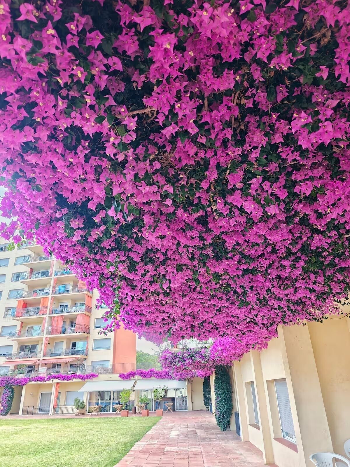 Jardines del alojamiento