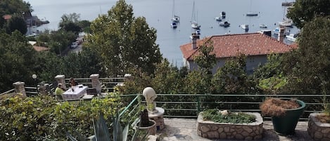 A coastal view with a stone pathway, potted plants, and a table with chairs.