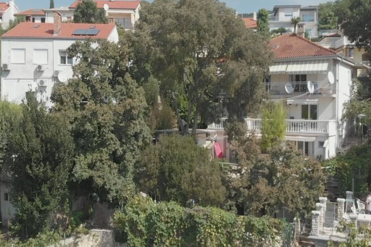 Un quartier résidentiel composé de plusieurs immeubles, d’arbres et offrant une vue sur un ciel dégagé.