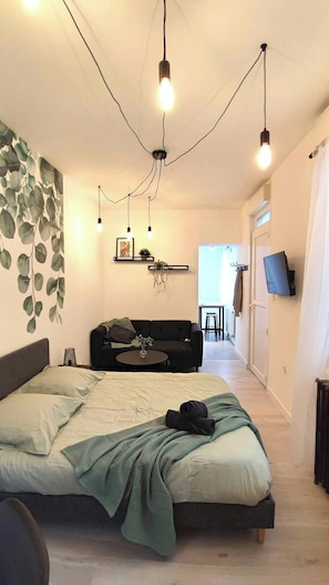Une chambre à coucher moderne avec un grand lit, un canapé, une télévision et un luminaire au plafond.