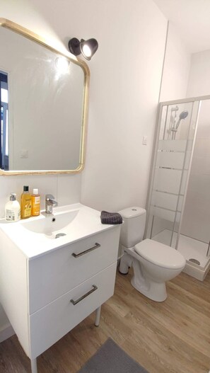 Shower, shampoo - Le Vaillant, Studio Moderne, wifi (Roubaix)