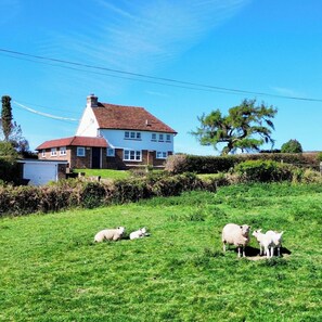 Property grounds - Holly Cottage | Stylish Rural Retreat | Sussex near Bodiam, Rye, coast vineyards (Robertsbridge)
