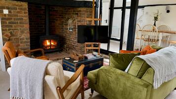 Smart TV, fireplace, books