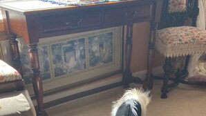 En liten hund leker med en leksak på ett träbord i ett rum med en mönstrad matta, en stol och en inramad tavla på väggen.