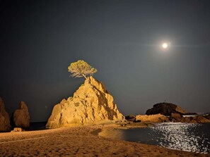 Une scène côtière nocturne mettant en valeur une formation rocheuse imposante et un arbre isolé qui se dresse au sommet, le tout baigné par la lumière d’une lune éclatante.