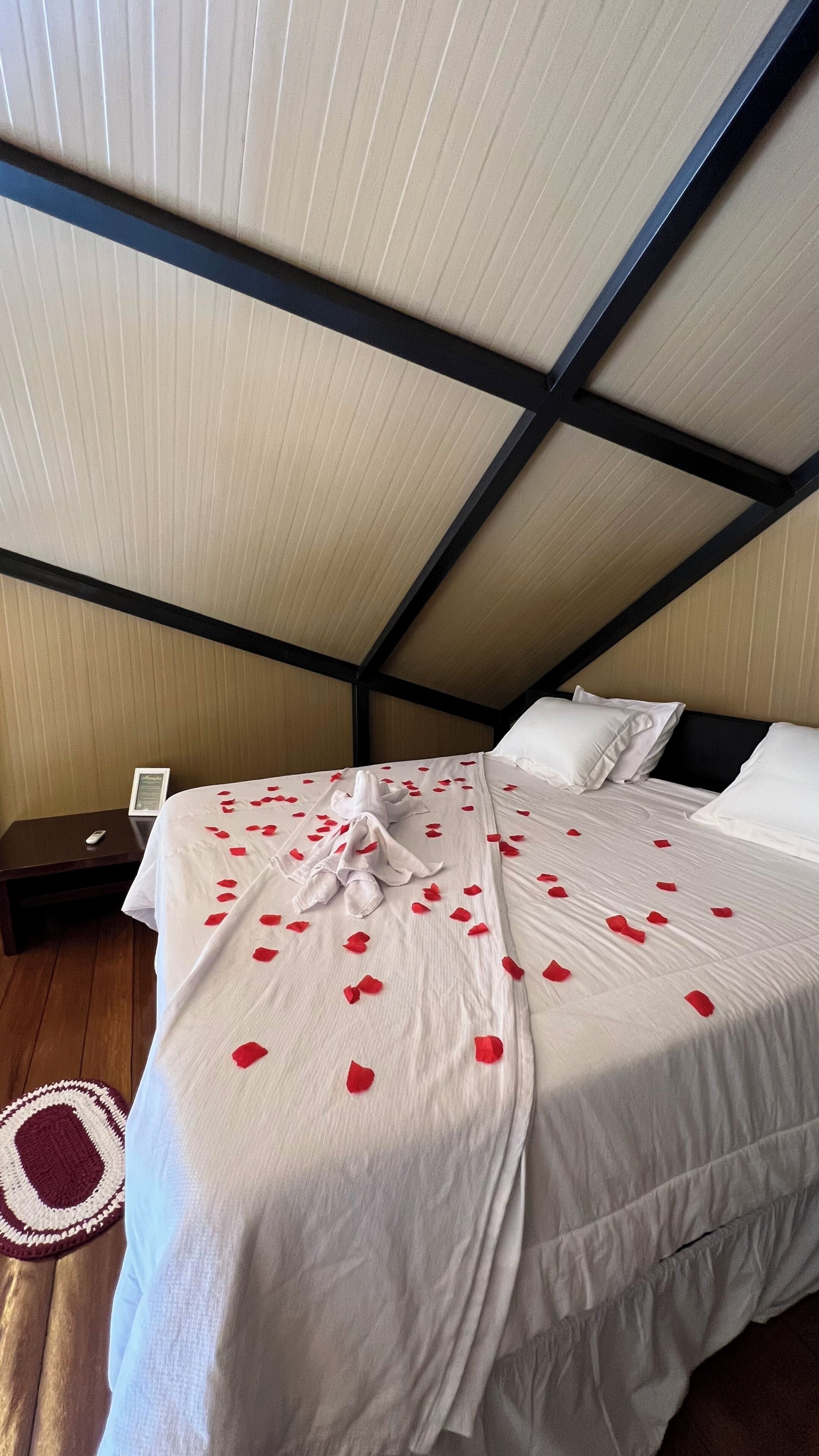 Cabane Luxe, vue montagne