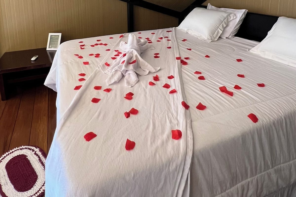 Luxury Cabin, Mountain View