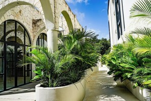 Property grounds - Jungle View Nest · Selva + Rooftop · Beach Club (Tulum)