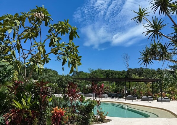 Pool - Serene Loft 5 Min to the Beach in the Tulum Jungle (Tulum)