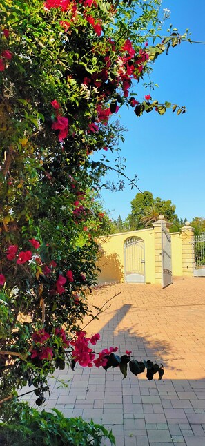 Áreas de la propiedad