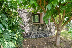 Exterior detail - Villa Tiaréa - Giarre (Giarre)