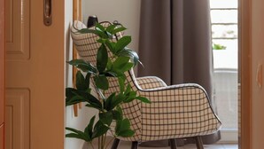 Een kamer met een deur, een kamerplant, een stoel, een gordijn en uitzicht op buiten.