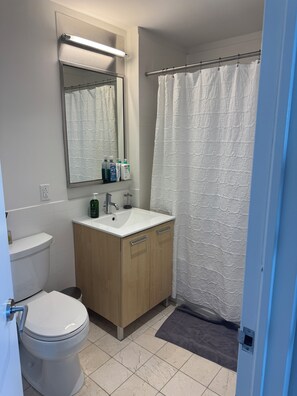 Hair dryer, towels, soap, toilet paper - Furnished Spacious 3-bedroom PH Apt in Trendy TriBeCa NYC with Private Deck (New York)