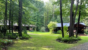 A forested area with a gravel path leading to a cabin with a porch.