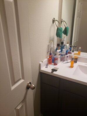 Bathroom - Serene Lake House 4-bed 3.5 bath in friendly Katy neighborhood (Katy)