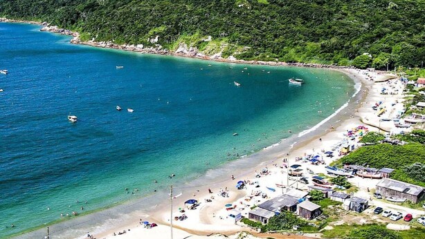 A beach with clear turquoise waters, a sandy shore, and a dense green forest in the background.