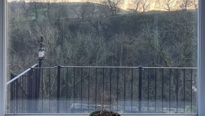 A window with a view of a landscape, a railing, and a bowl of flowers on the windowsill. - DALE VIEW, Youlgreave, bright and cozy cottage in the heart of the Peak District (Youlgreave)