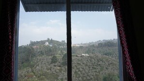 Vista a través de una ventana con cortinas, mostrando un paisaje con árboles y edificios.