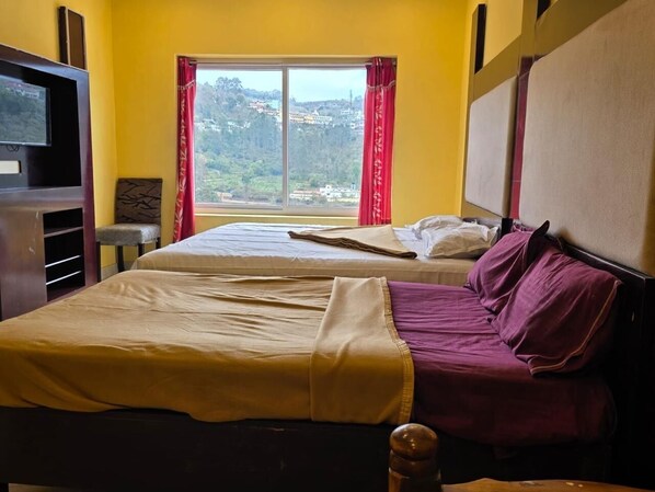 Chambre Familiale, vue montagne