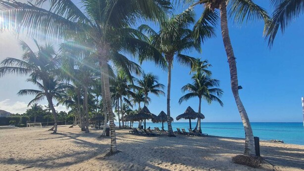 A beach with palm trees, sun loungers, and thatched umbrellas. - Fastastico Apt. Al Cadaques villa and Resort (BAYAHIBE)