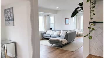 Smart TV, fireplace, books