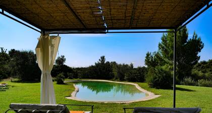 Luxury Villa with service