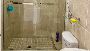 Ducha con puerta de vidrio, inodoro y bañera.