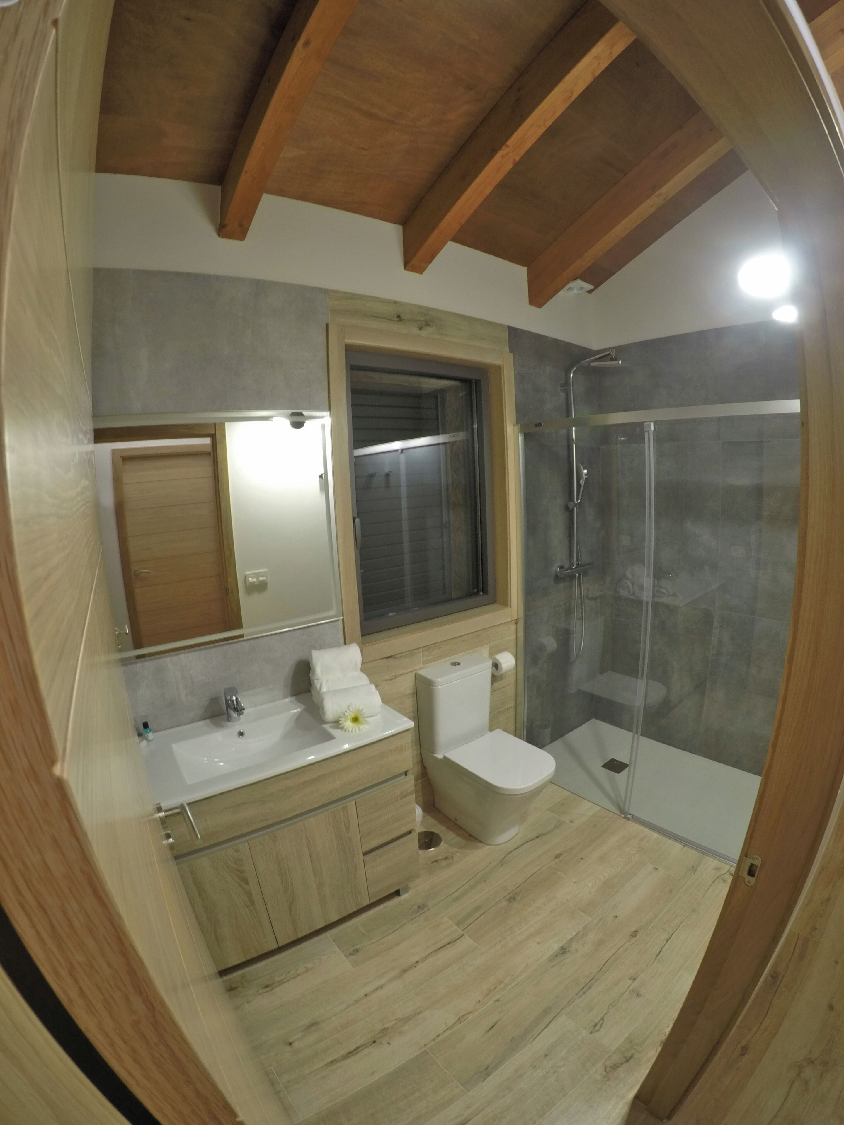 Un baño moderno con techo de madera, cabina de ducha con vidrio, lavabo con espejo y retrete.