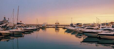 Marina