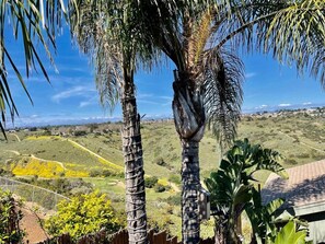 Over looking a golf course.