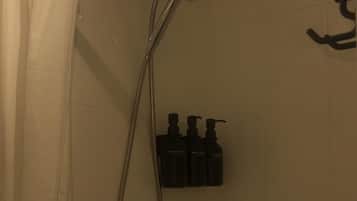 Douche, séchoir à cheveux, serviettes fournies, savon