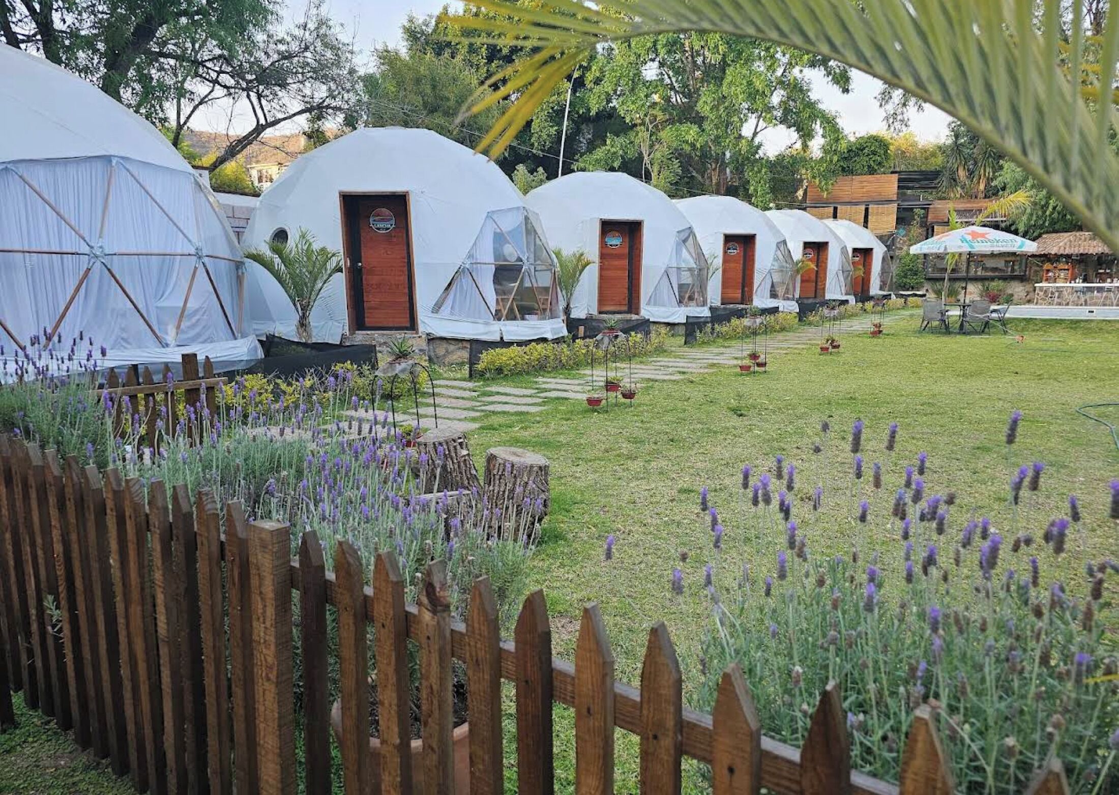 Cabaña de lujo, lanai, vista a la alberca | Áreas de la propiedad