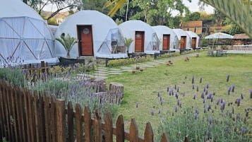 Cabaña de lujo, lanai, vista a la alberca | Áreas de la propiedad