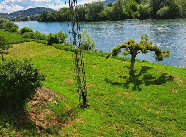 Un río con una orilla cubierta de hierba, un árbol y una estructura de líneas eléctricas.