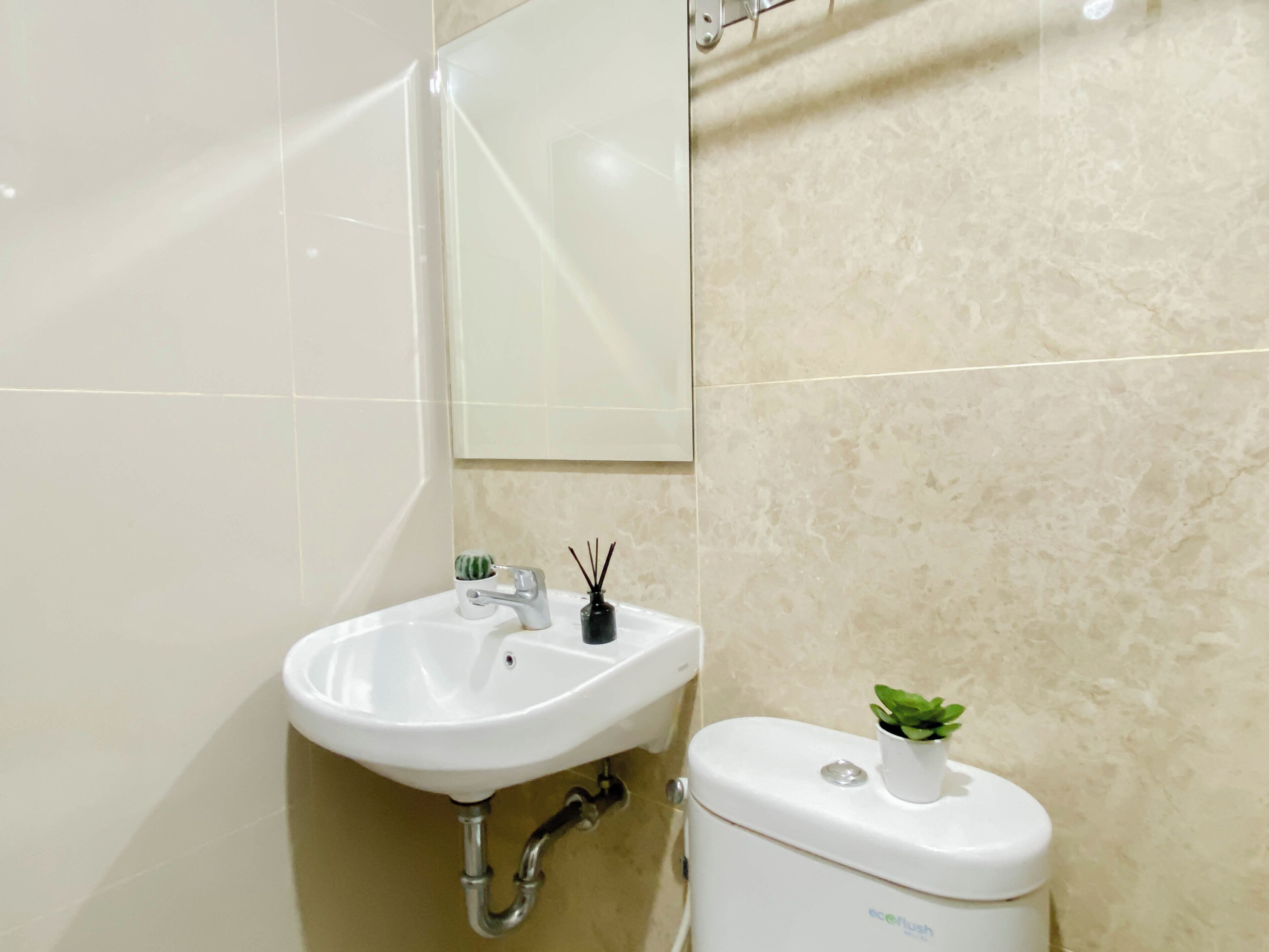 Une salle de bain avec un lavabo blanc, un miroir, des toilettes et une petite plante en pot posée sur le réservoir des toilettes.