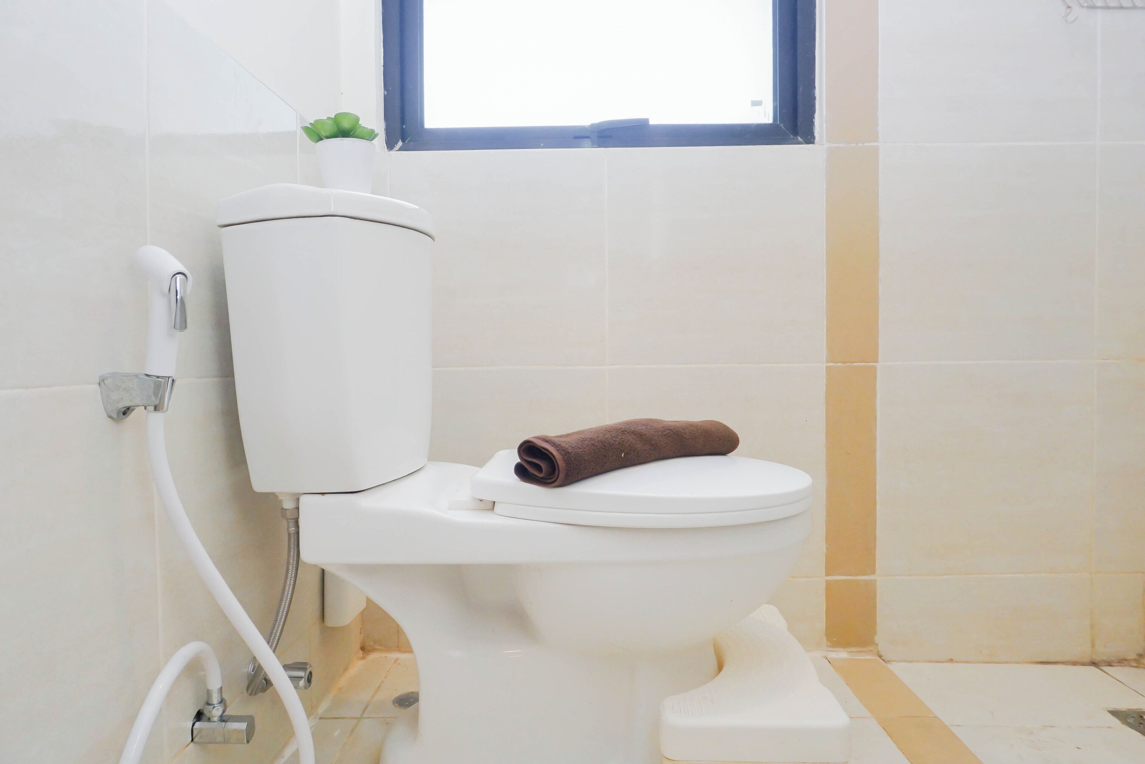 A white toilet with a brown towel on it, a window above, and a plant on the tank.