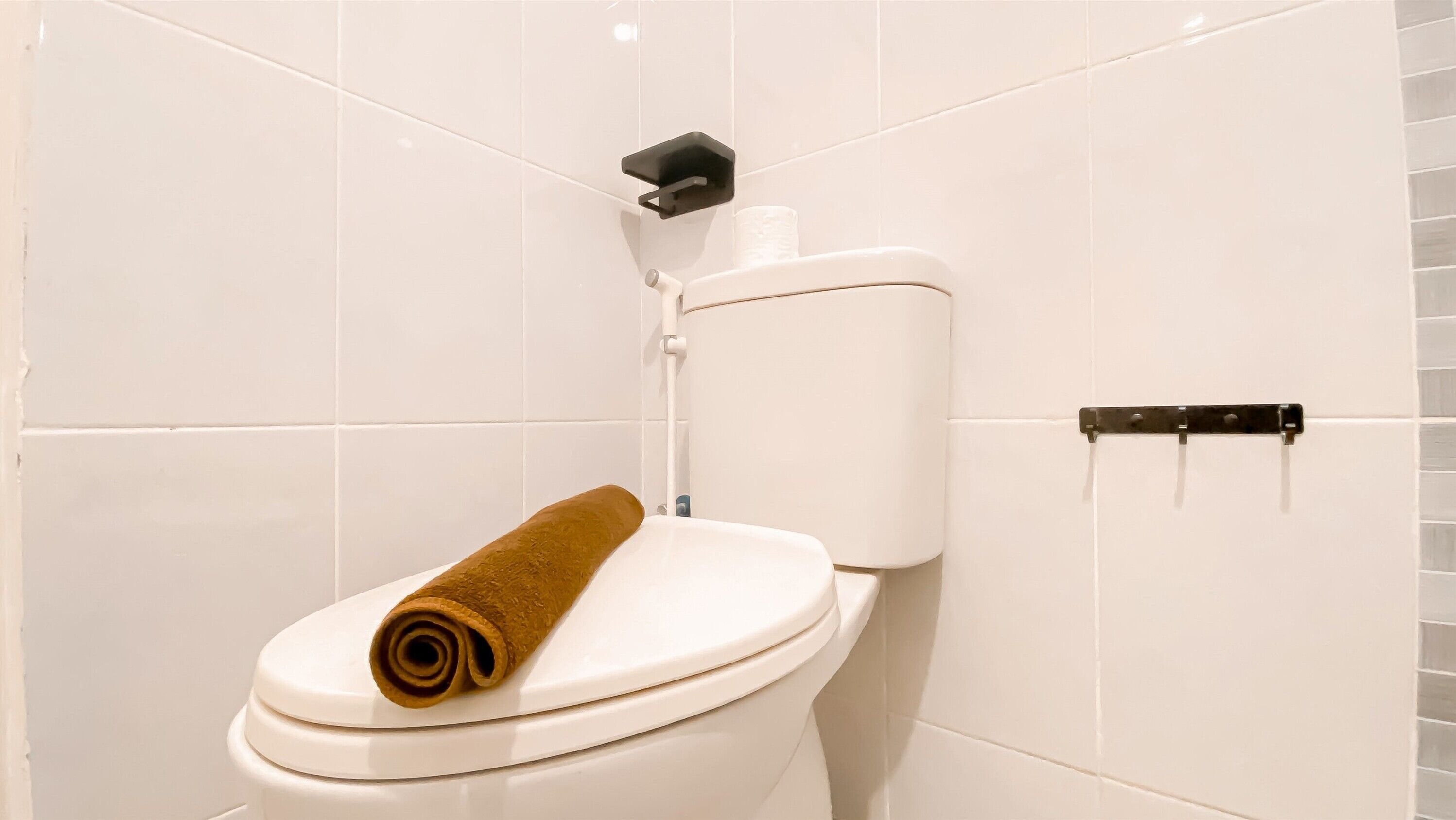 Apartamento estándar | Baño | Ducha