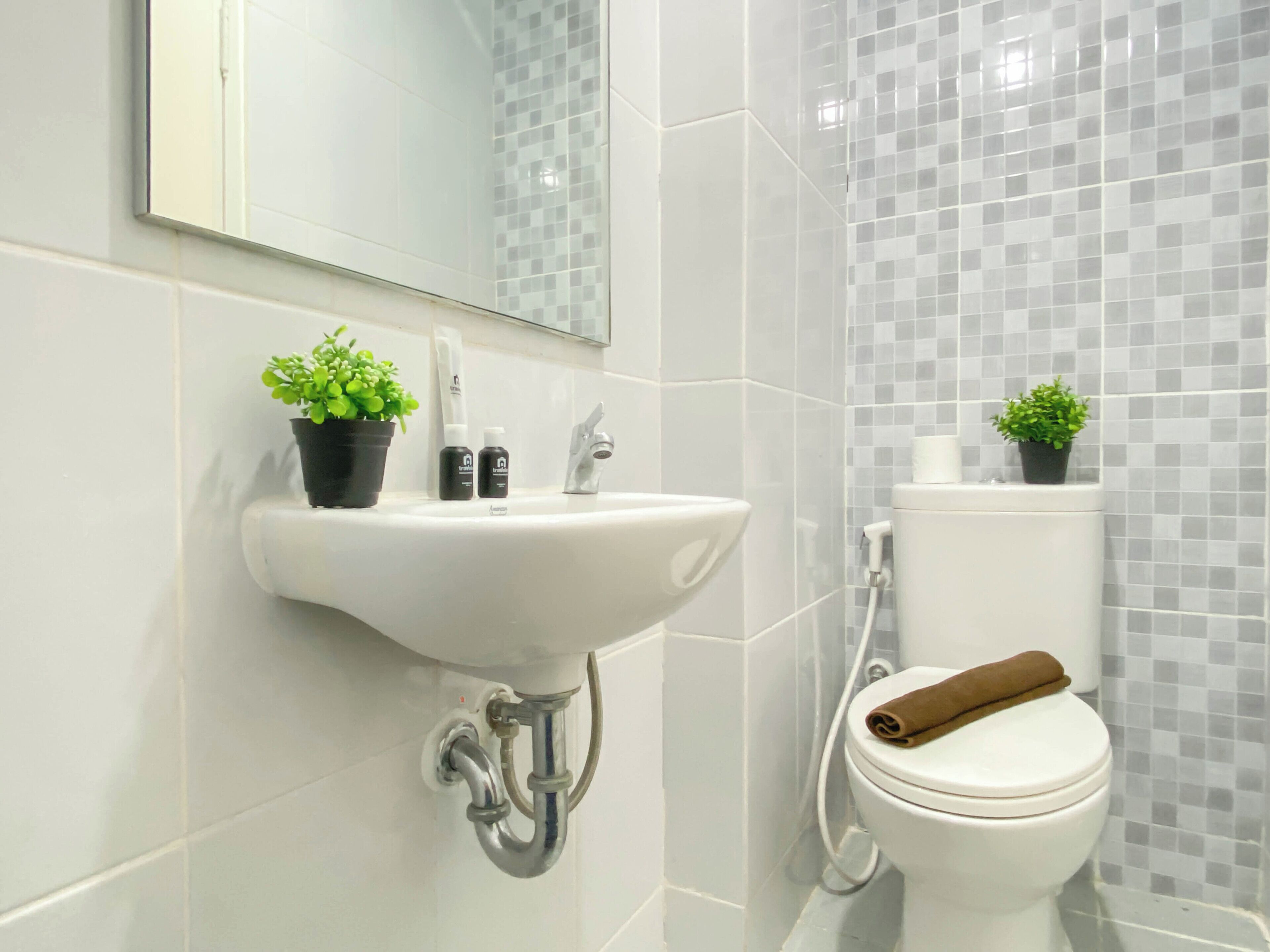 Un baño con un lavamanos blanco, un espejo, un inodoro y dos plantas en macetas.
