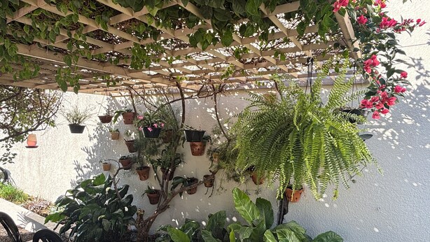 A garden area with potted plants and a wooden pergola structure. - Ravello Residential AP08 Foz do Iguaçu (Foz do Iguaçu)