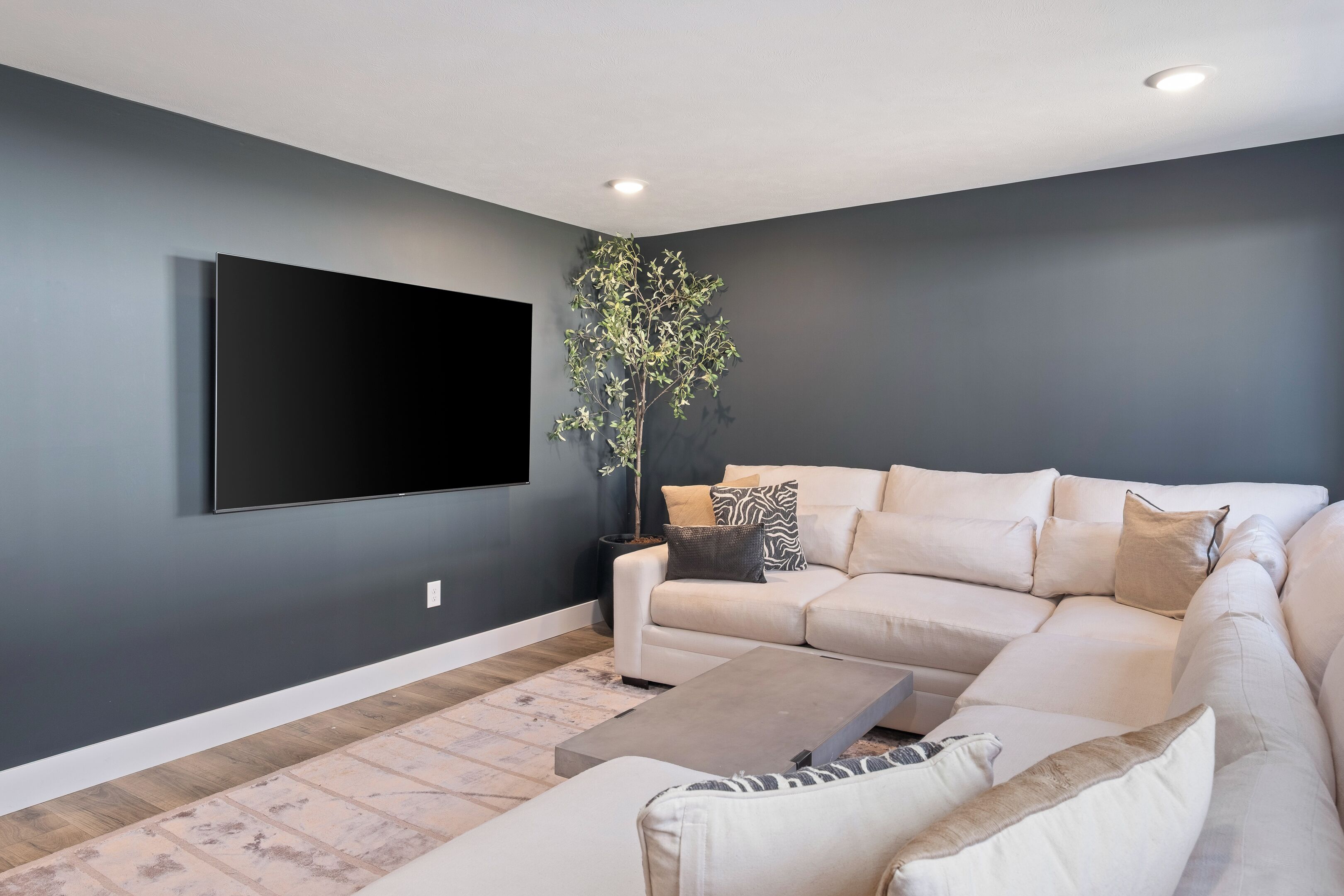 Smart TV