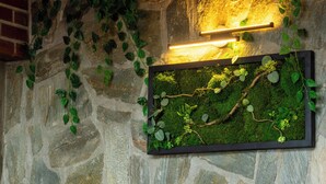 A stone wall with a moss wall art piece and hanging vines.