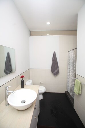 Hair dryer, towels, soap, toilet paper - Double height loft with terrace in Roma Norte. (Ciudad de México)