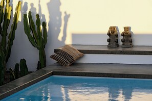 Zona de piscina con borde de hormigón, una escultura de piedra y un cactus.