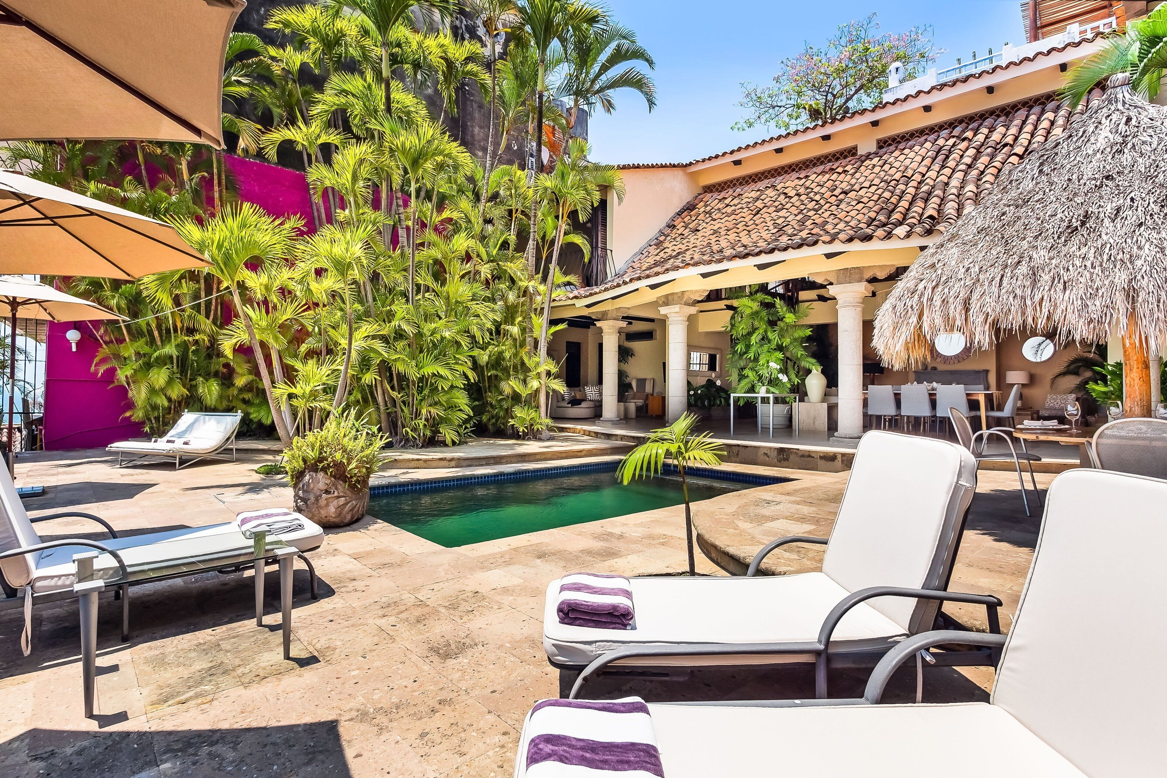 Zona de piscina con sillas de descanso, una estructura de techo de paja y abundante vegetación.