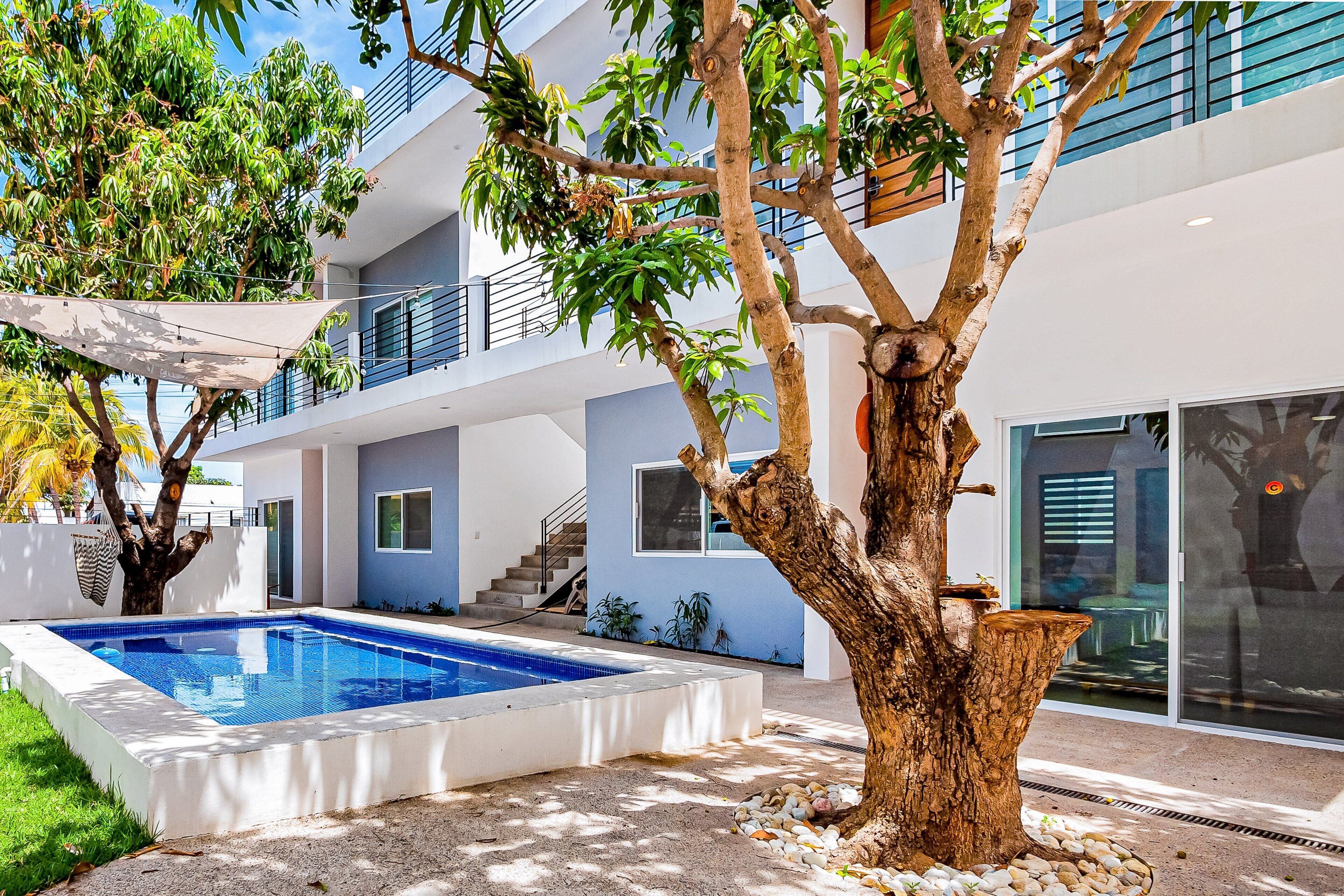 A modern building with a swimming pool, outdoor stairs, and a tree.