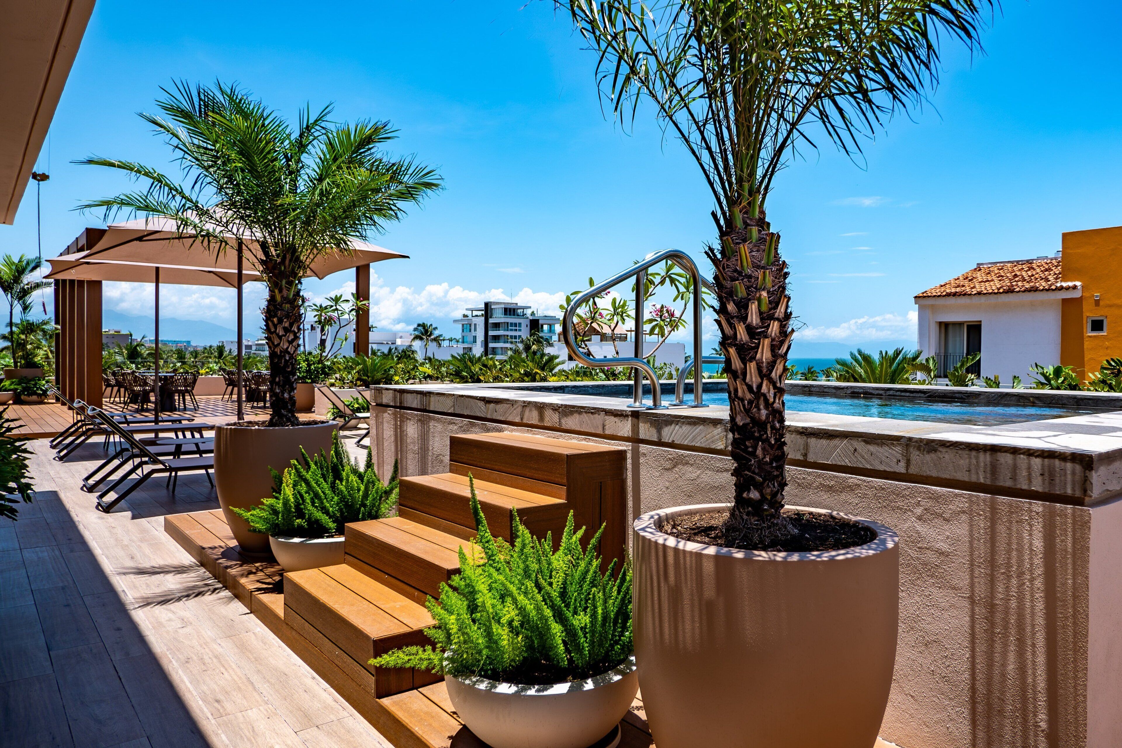 A rooftop pool area with palm trees, outdoor seating, and a view of the cityscape.